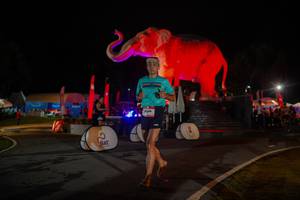 BIB: 
                            <button type="button" onclick="openModal(26552020)" class="btn btn-primary btn-sm float-right btn-popup" data-toggle="modal" data-target=".modal-high-quality">
                        <i class="fas fa-shopping-cart"></i> Add to Cart
                    </button>
                                            <button type="button" onclick="isThisMe(26552020, true)" class="btn btn-success btn-sm float-right btn-popup btn-isme hidden" data-toggle="tooltip" data-placement="bottom" title="นี่คือรูปของคุณใช่ไหม คลิกที่นี่เพื่อเอาเข้าอัลบั้ม">
                        <i class="fas fa-plus"></i> Add to album
                    </button>
                    <button type="button" onclick="isThisMe(26552020, false)" class="btn btn-warning btn-sm float-right btn-popup btn-isnotme hidden">
                        <i class="fas fa-ban"></i> Remove from album
                    </button>